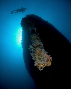 At the wreck of the WIT Concrete by Juan Torres 